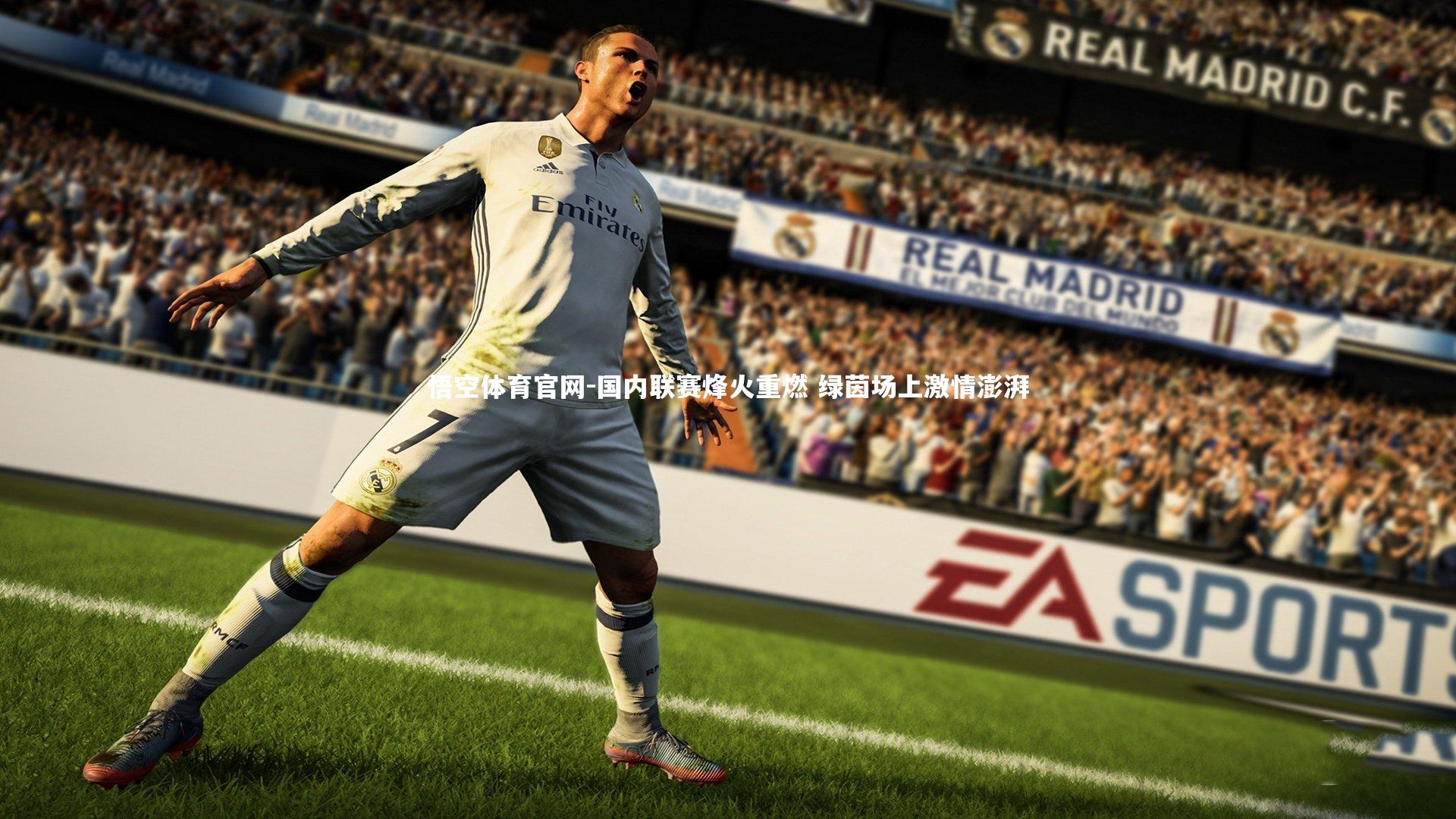 国内联赛烽火重燃 绿茵场上激情澎湃